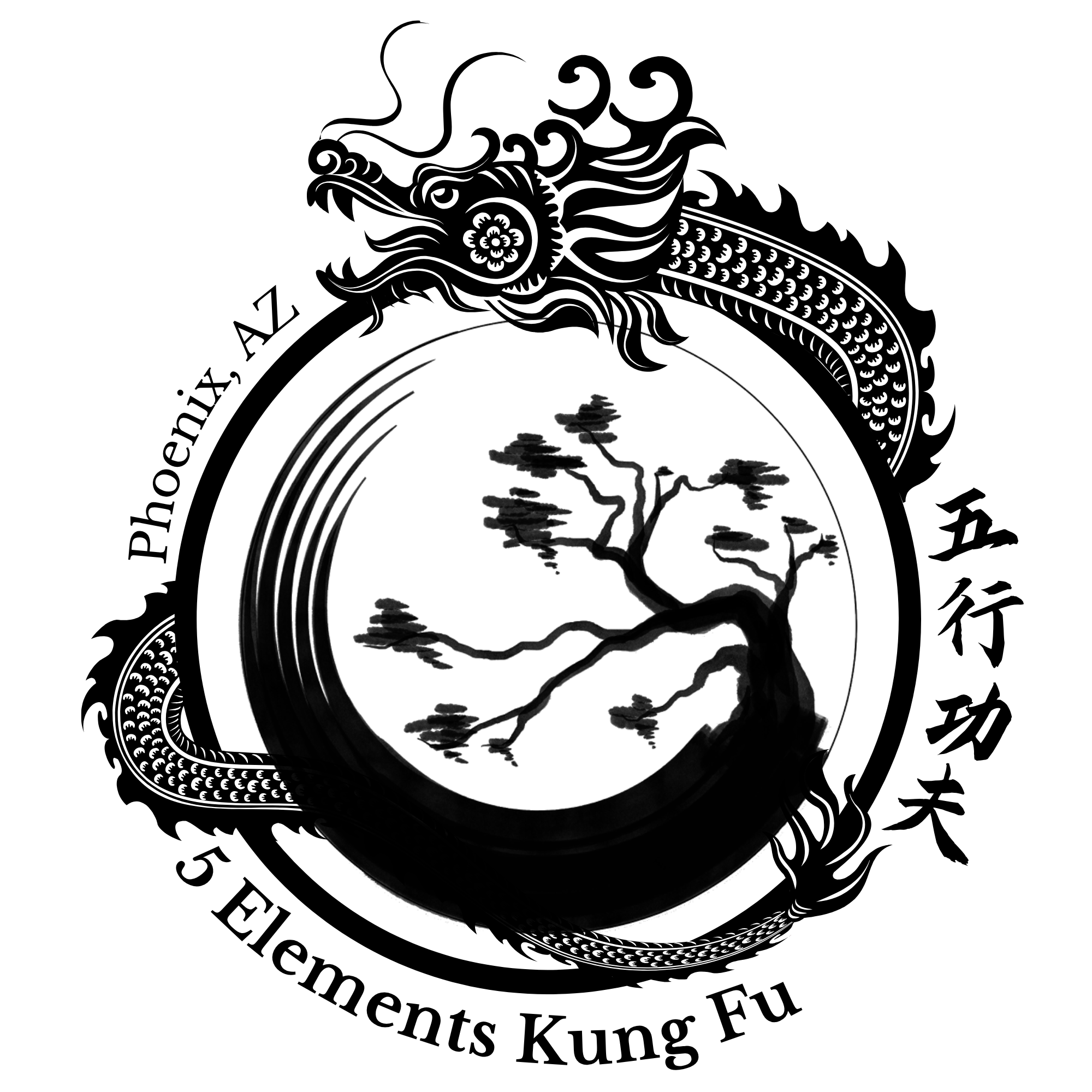 5 Elements Kung Fu